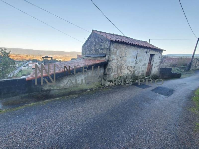 Lote 1