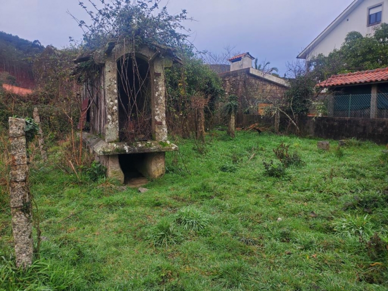 Lote 1