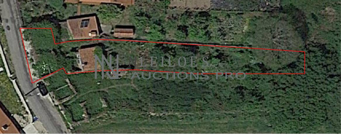 Lote 3