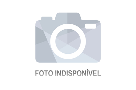Lote 1